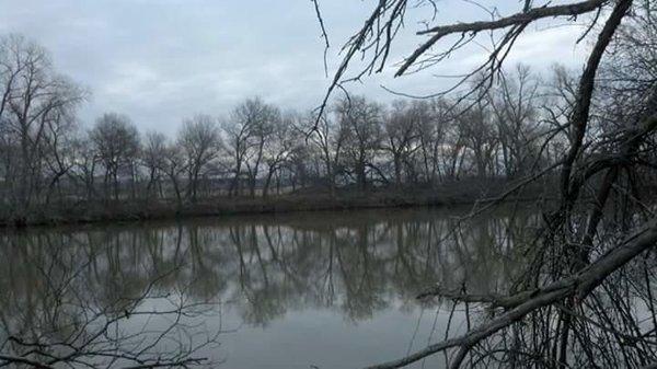 Church of Respect Intelligence Science and Technology