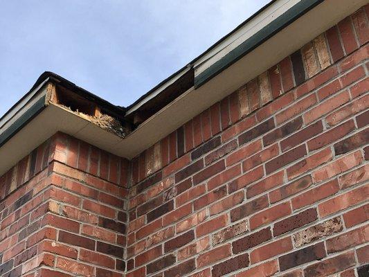 Yet another fascia and soffit hole left exposed