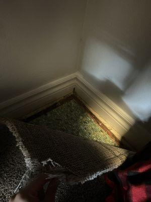 District 5800 Apartments