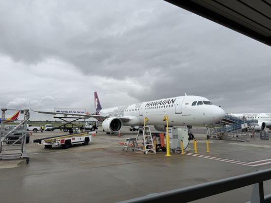 Flying Food Group Pacific