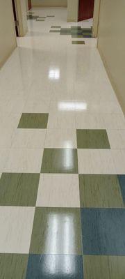 M Y Janitorial Services