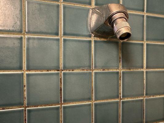 Mold on shower tiles.