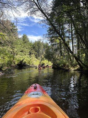 FROG Canoe Kayak Rentals
