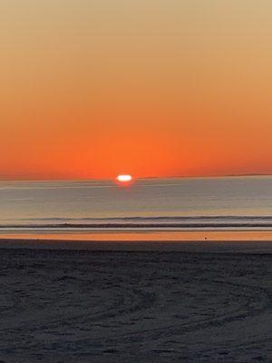 Storz & Bickel - Oakland