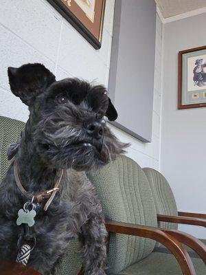 Offutt Veterinary Service