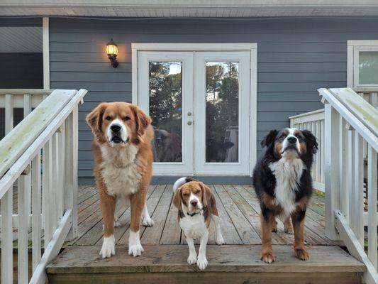 3 happy customers