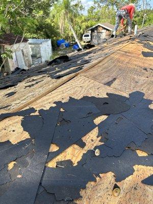 YVGV Service General