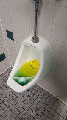 Backed up urinals. Even when they work, water pressure sucks and it barely flushes.