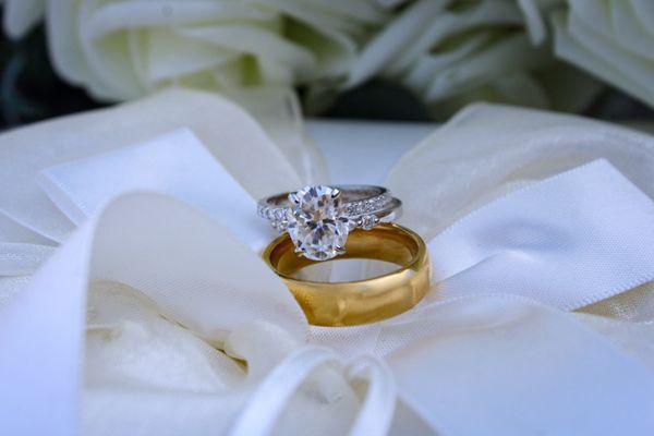 Picture Perfect Paige of NNY