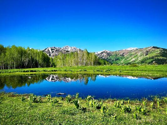 8400+ feet elevation!! Truly one of the most spectacular places I've ever been!