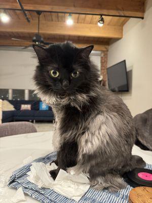 Dr. Burns, thank you from Girlfriend!