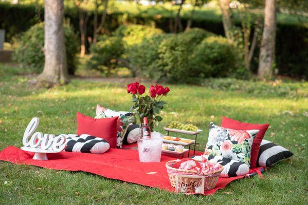 Private Picnic Experience in the Queen City