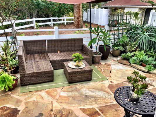 Paulette Povar - Solutions Real Estate