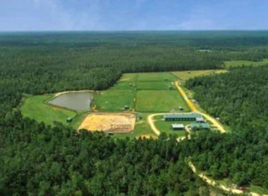 Merrifield Equestrian