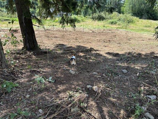 Excalibur Landservices