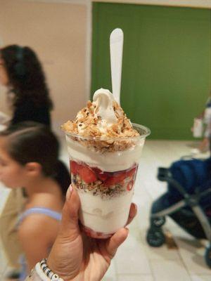 American Dream Observation Wheel