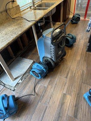 Salajean Construction & Services Co