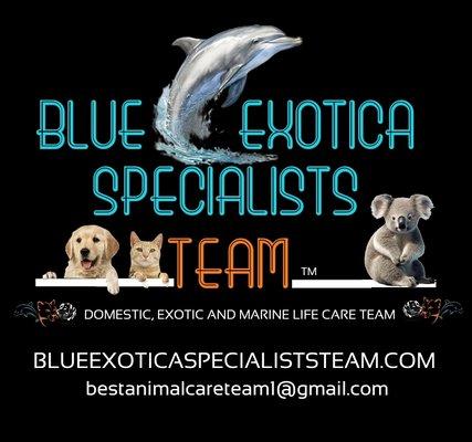 Blue Exotica Specialists Team