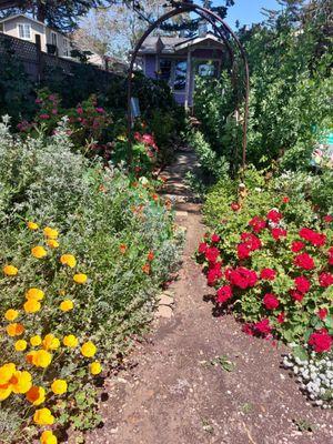 Blue Diamond Tree and Landscape