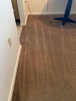 Star professional cleaning services