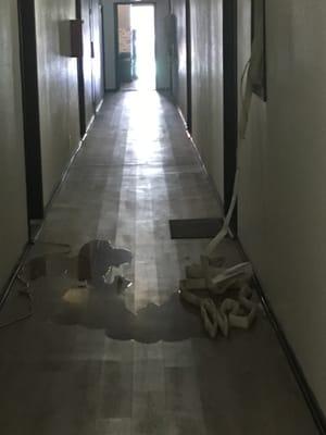 Unsafe living quarters electrical equipment in puddles of water