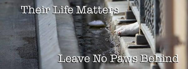 Leave No Paws Behind, Inc