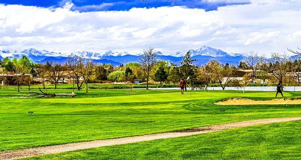 #16 Green with the Rocky Mountains as a Backdrop