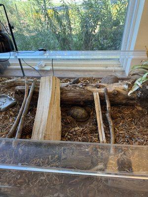 Salt Marsh Nature Center