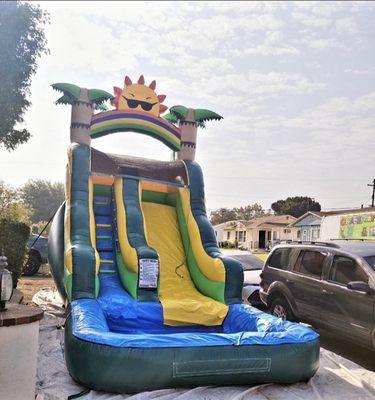 Cervantes Party Supply