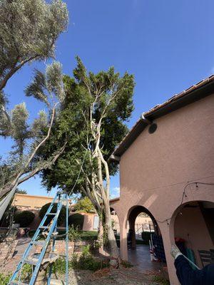 BC Landscaping and Hardscape LLC