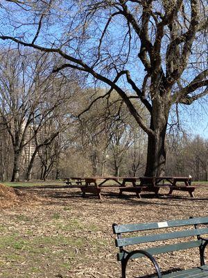 Picnic tables 03/30/21