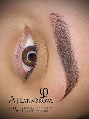 LatinBrows