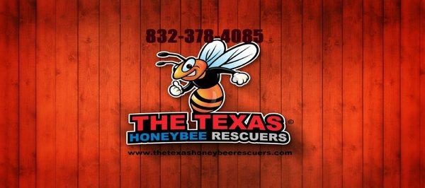 The Texas Honeybee Rescuers