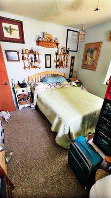 Dirty Dawgs Cleaning Services