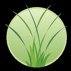 Top Seed Landscaping