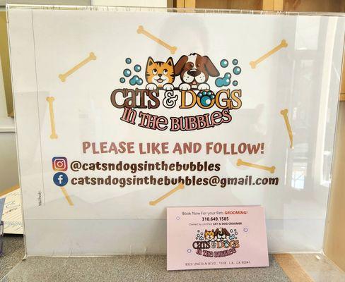 Cats & Dogs in the Bubbles