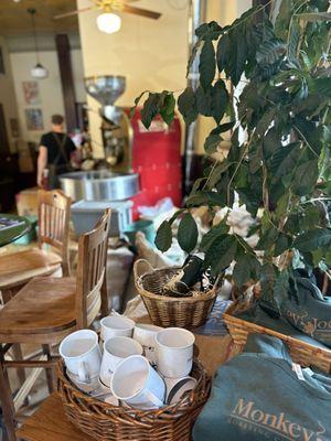 Monkey Joe Roasting Co