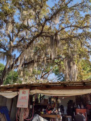 Baxter's Family Tree Service