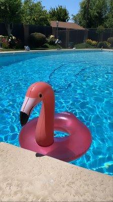 Luis & Christine Gomez