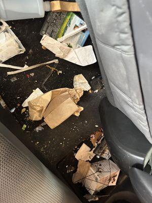 Ecobrush auto detail