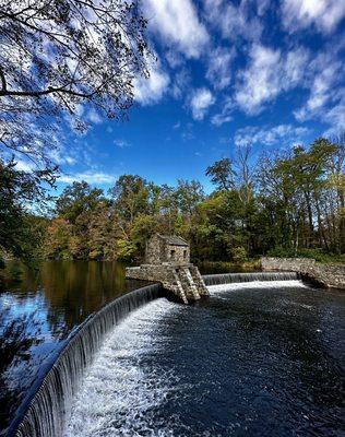 Speedwell Park