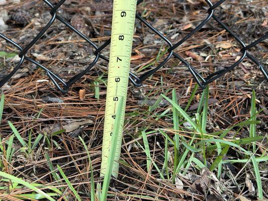 LM Construction & Roofing