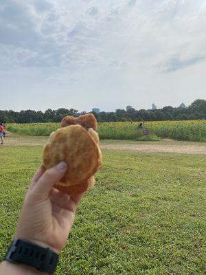 Cajun filet biscuit
