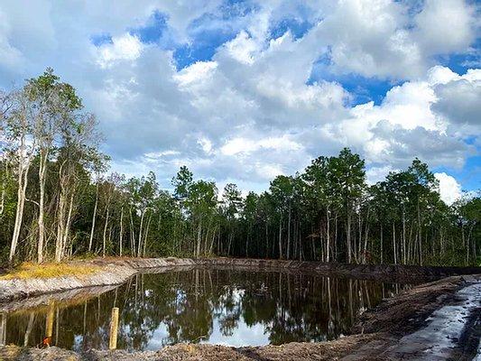 Jaguar Land Clearing