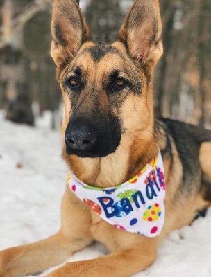 Tyra's Pooch Parlor & Pet Shop