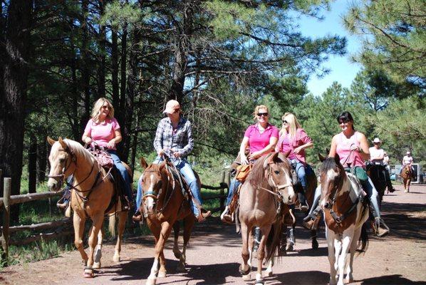 Northern Arizona Riding Stables