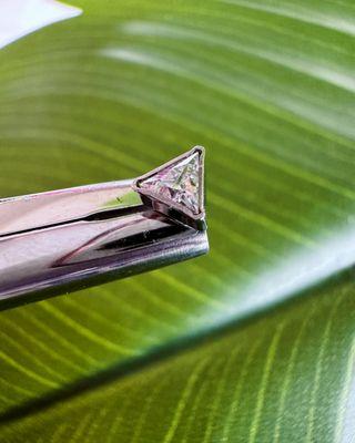 Don't Tell Mom DTM Piercings and Tattoos