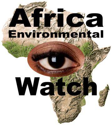 Africa Environmental Watch & Services