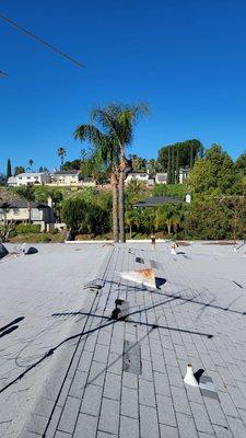 Leonel Santiago Tree Trimming and Gardening