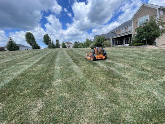 Jackson Coley Landscaping
